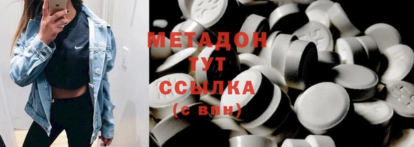 сатива Губаха