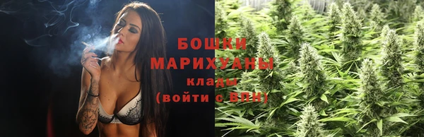 сатива Губаха