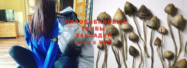 гидропоника Грязовец