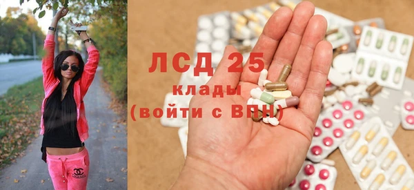 сатива Губаха