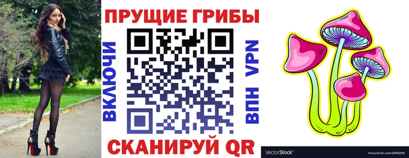 Купить где  Куйбышев  Псилоцибиновые грибы Magic Shrooms 